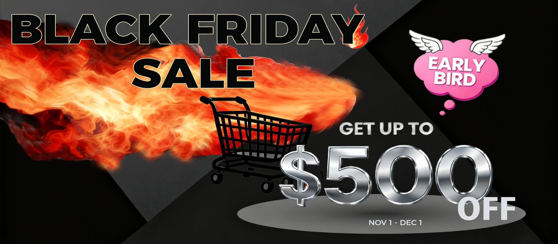 Black Friday Sale