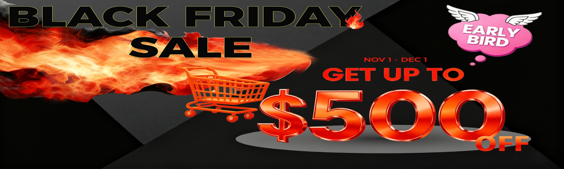 Black Friday Sale
