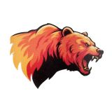 UV Printed Twill Heat Transfer Patch-50PCS