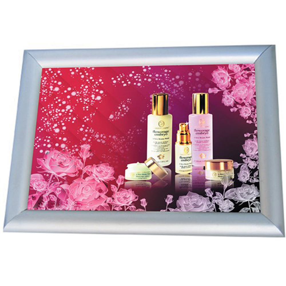 Large Format Aluminum Photo Frame-A1 Size