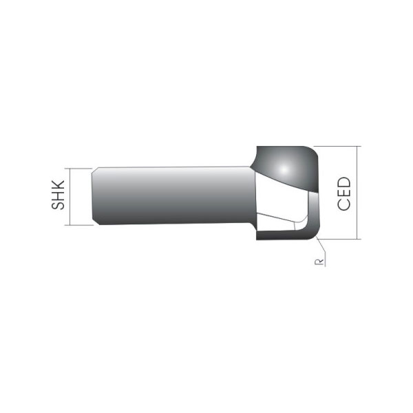 C Type of Cleaning Bottom Bits