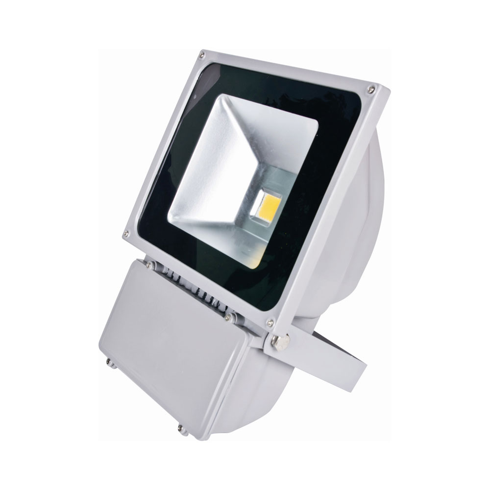 70 Watt 12-24VDC LED Flood Light