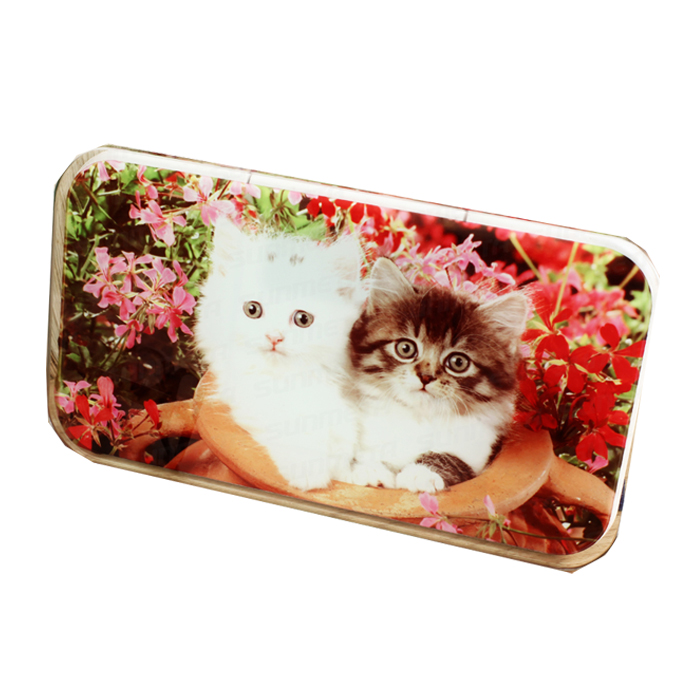 8.6" x 4.9" Rectangle Sublimation Blank Glass Photo Frame