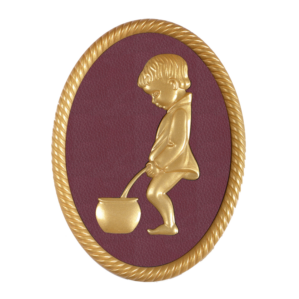 Male, Funny Plating Toilet Sign, Restroom Wall Door Plaque, Golden Frame, ABS Plastic