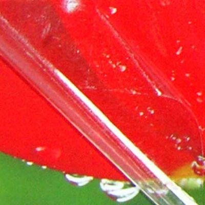 Película brillante para estudio fotográfico 25" (0.635m)