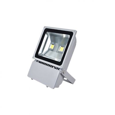 Reflector LED 100 Watt 12-24VDC