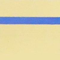 BS-041(brushed surface&gold-blue)