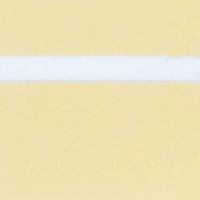 BS-048(brushed surface&gold-white)