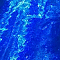 505 royal blue