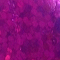 504 purple