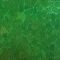 503 green